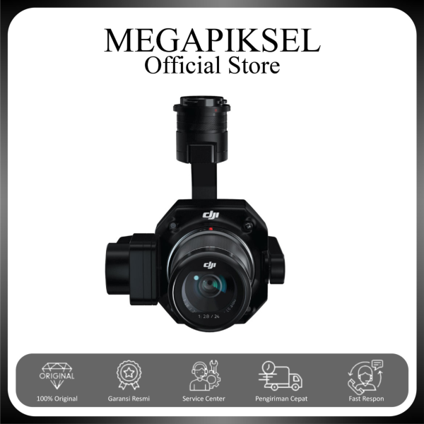 DJI Zenmuse P1
