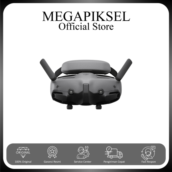 1 DJI Goggles 3