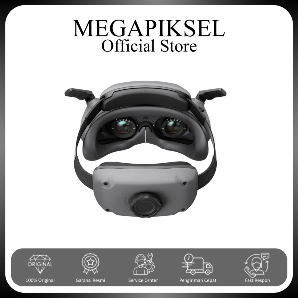 2 DJI Goggles 3