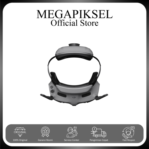 3 DJI Goggles 3