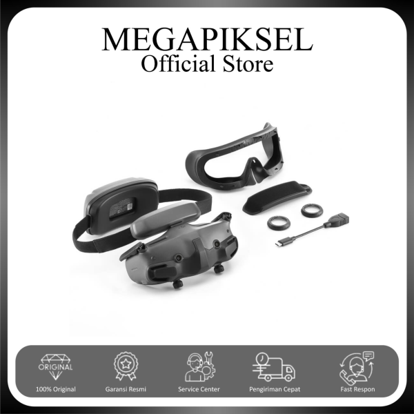 4 DJI Goggles 3