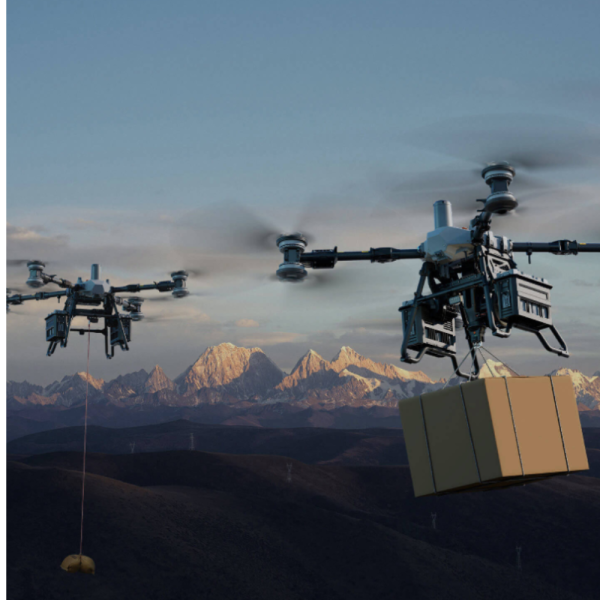 DJI FlyCart 100 Oversea